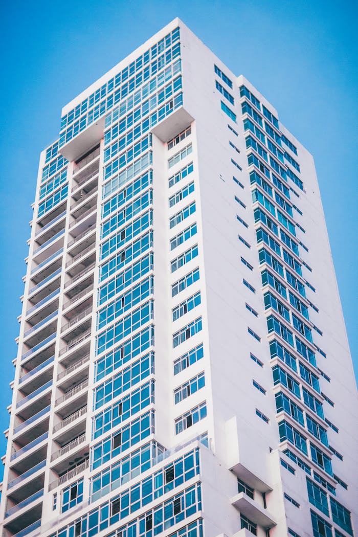 pexels-photo-2077937-2077937.jpg